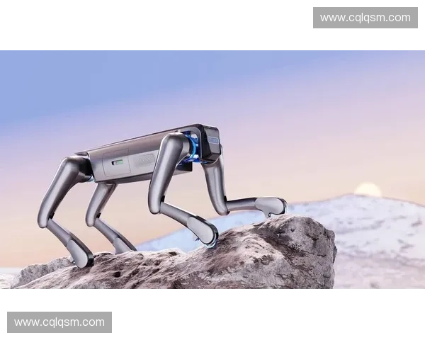 创新驱动未来运动科技:探索智能硬件与数据分析在运动领域的融合应用 创新驱动未来运动科技:探索智能硬件与数据分析在运动领域的融合应用